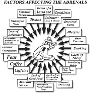 adrenal factors